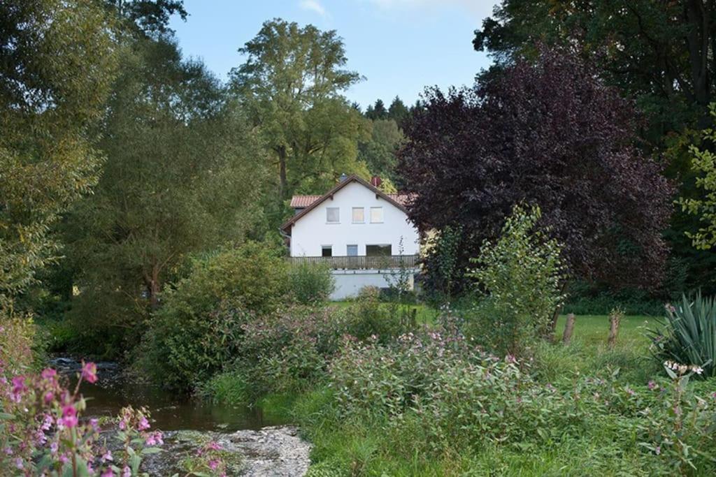 Wald-Apartment Limbach-Oberfrohna Екстер'єр фото
