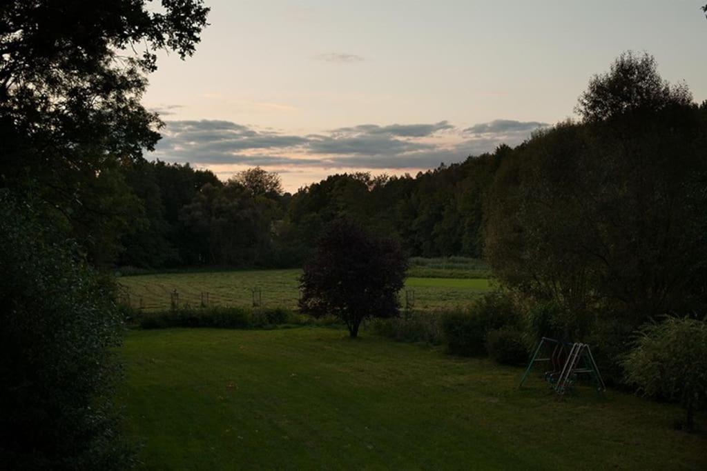Wald-Apartment Limbach-Oberfrohna Екстер'єр фото