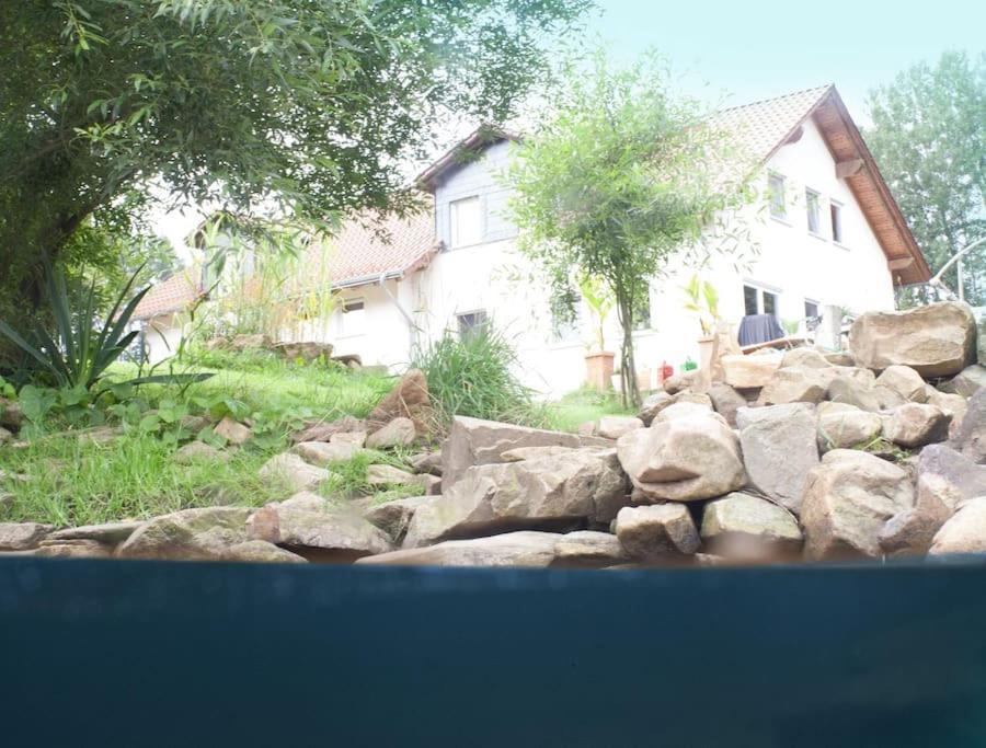 Wald-Apartment Limbach-Oberfrohna Екстер'єр фото