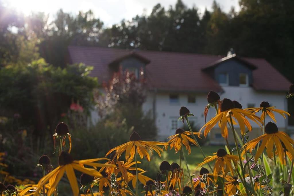 Wald-Apartment Limbach-Oberfrohna Екстер'єр фото