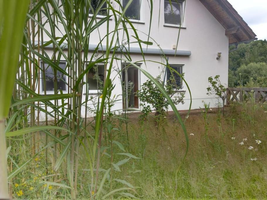 Wald-Apartment Limbach-Oberfrohna Екстер'єр фото