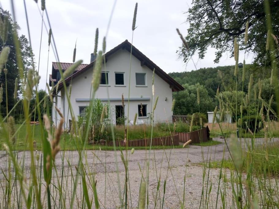 Wald-Apartment Limbach-Oberfrohna Екстер'єр фото