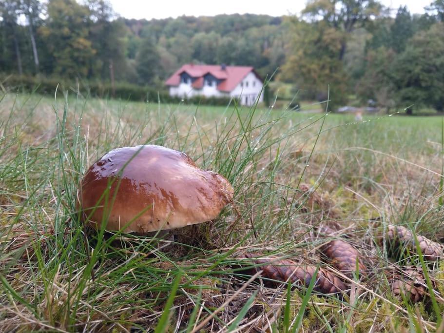 Wald-Apartment Limbach-Oberfrohna Екстер'єр фото
