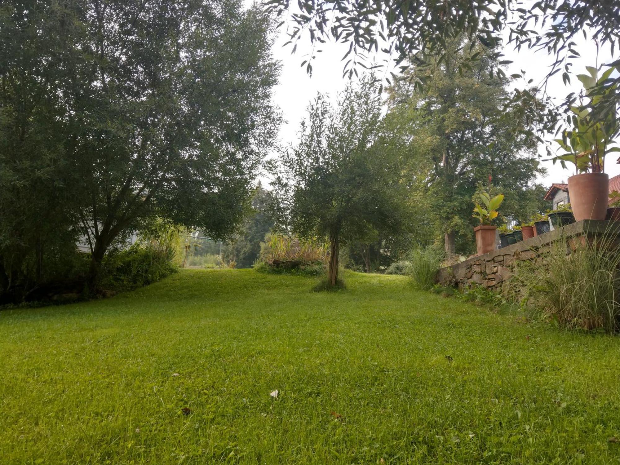 Wald-Apartment Limbach-Oberfrohna Екстер'єр фото